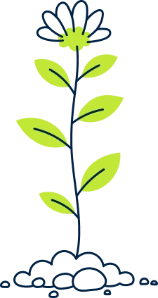 Kindergarten-plant