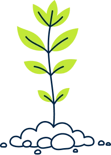 Senior Kindy-plant