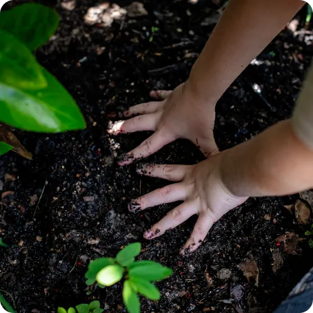 Kid Planting